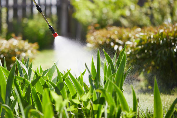 Tamper-Resistant Bait Stations for Rodents in West Des Moines