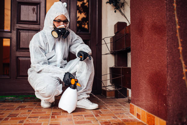 Attic and Crawl Space Rodent Treatment in West Des Moines