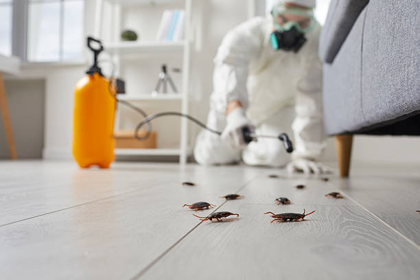 Commercial Rodent Management in West Des Moines